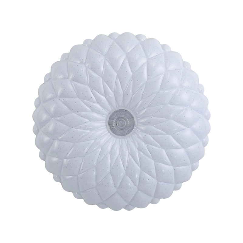 Auris PLF-53749-L-CL