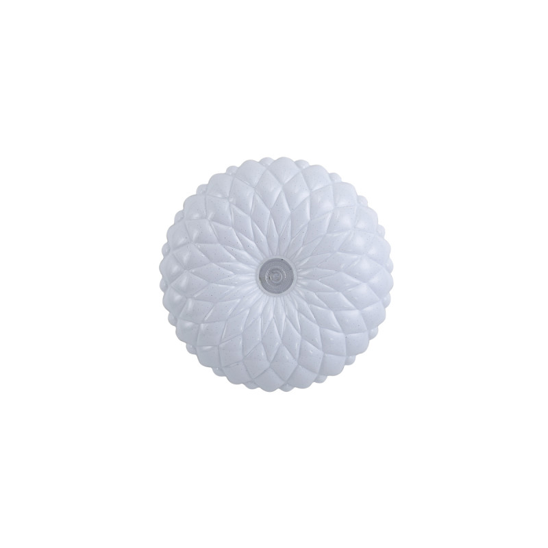 Auris PLF-53749-S-CL