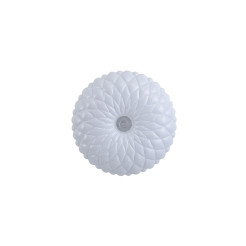 Auris PLF-53749-S-CL