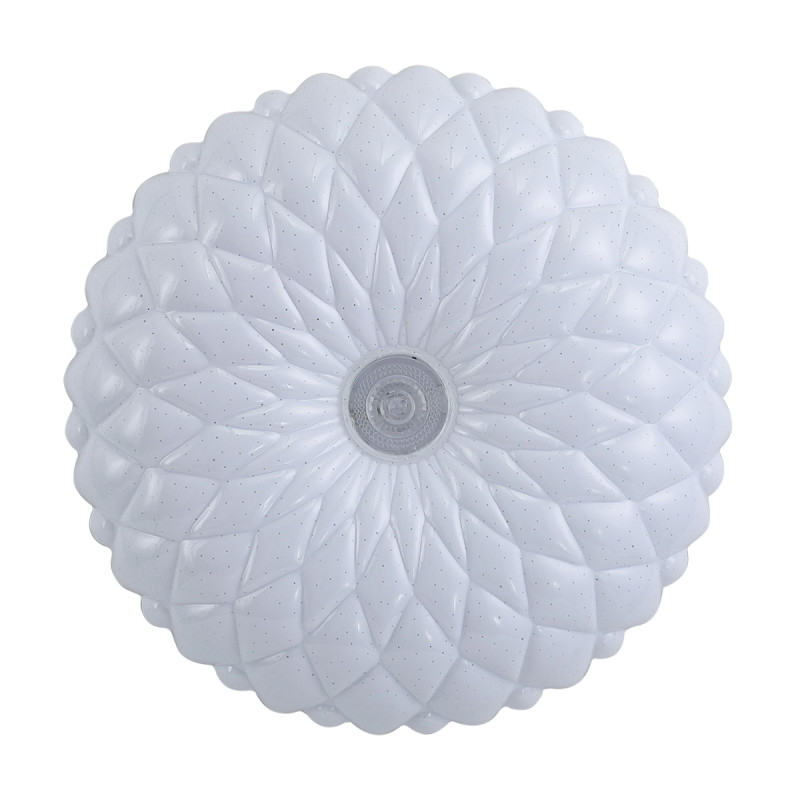 Auris PLF-53749-XL-CL
