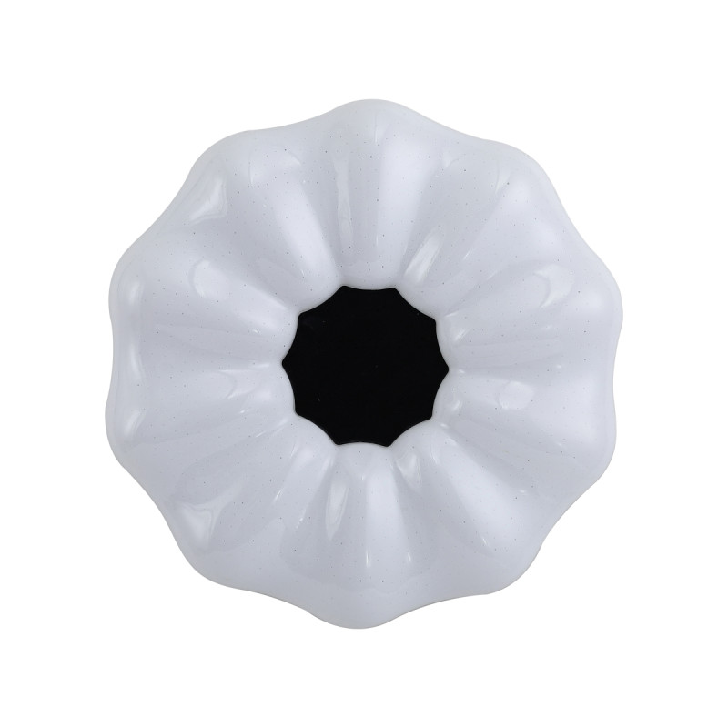 Sonia PLF-45372-M-CL
