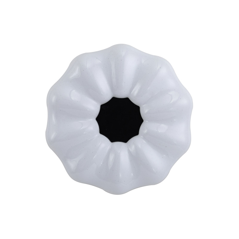 Sonia PLF-45372-S-CL