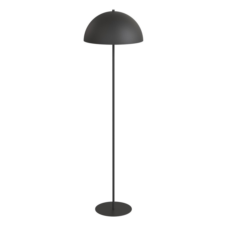LP1 BL
