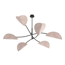6 BL GRAY