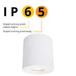 XL oprawa natynkowa biała LP-6510/1SM XL WH
