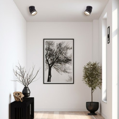 Oprawa natynkowa czarna GX53 LP-6331/1SM R1 BK movable
