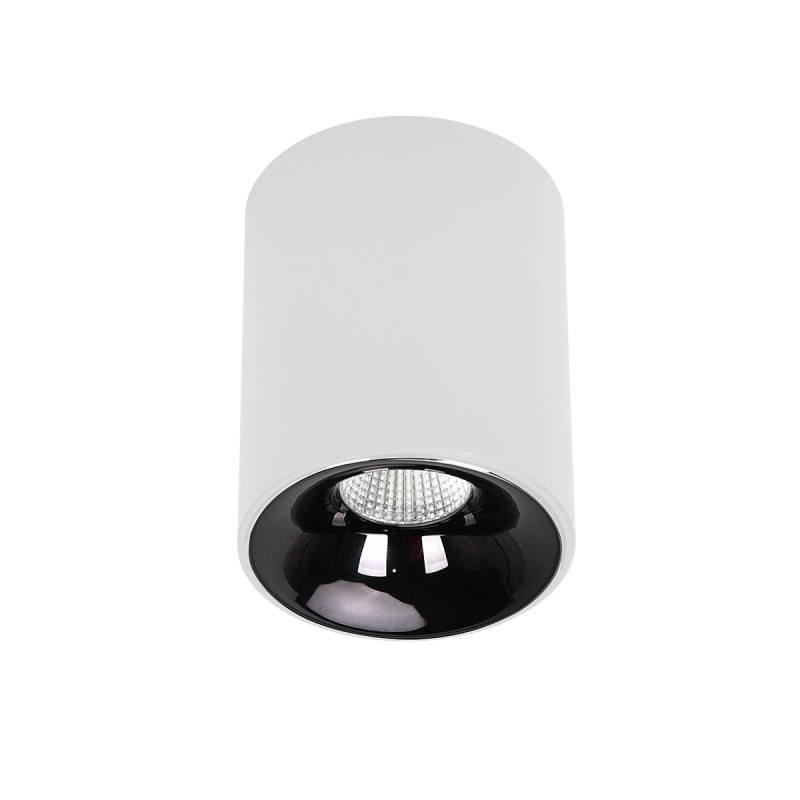 Oprawa natynkowa biała LED CCT LP-4848/1RM WH