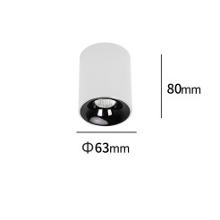 Oprawa natynkowa biała LED CCT LP-4848/1RM WH