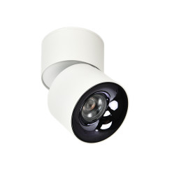Ruchoma oprawa natynkowa biała LED CCT LP-2626/1RM WH movable
