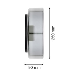 Argon TAMPA