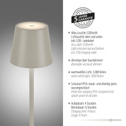 19250-40 EURIA LAMPA STOŁOWA SZARY