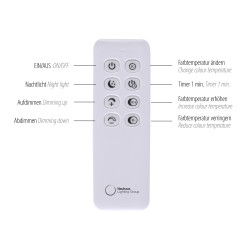 2124-13 TESSARA LAMPA WISZĄCA ANTRACYT