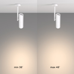 MAYTONI Spot reflektor sufitowy 1punktowy Natynkowy Elti 10W GU10 C020CL-01W