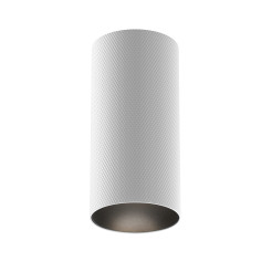 MAYTONI Spot reflektor sufitowy 1punktowy Natynkowy Artisan 10W GU10 C080CL-01-GU10-W