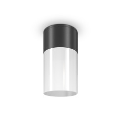 MAYTONI Spot reflektor sufitowy 1punktowy Natynkowy Willis 60W E27 O418CL-01B