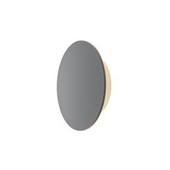 MAYTONI Oświetlenie architektoniczne Wald 12W LED 1050lm 3000K 80 CRI  O420WL-L12GF