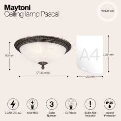 MAYTONI Lampa sufitowa Pascal 40W E27 C908-CL-03-R