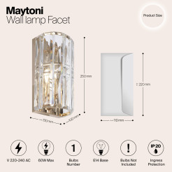 MAYTONI Lampa ścienna (kinkiet) Facet 60W E14 MOD094WL-01G