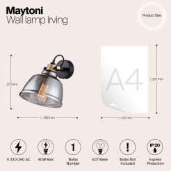 MAYTONI Lampa ścienna (kinkiet) Irving 40W E27 T163-01-C