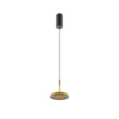 MAYTONI Lampa wisząca El LED 3000K 700lm MOD041PL-L15G3K