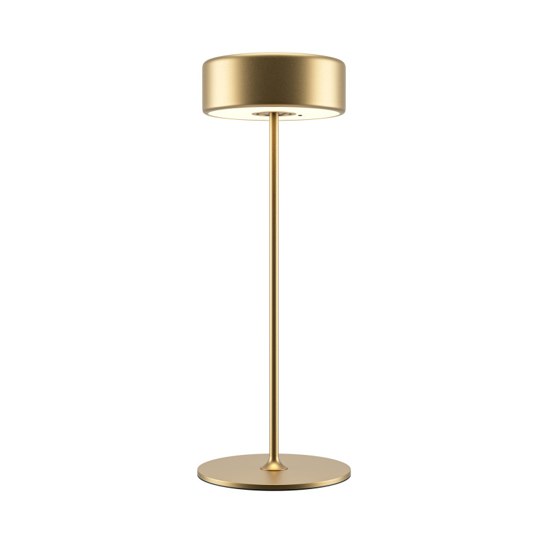 MAYTONI Lampa stołowa AI Collaboration 3W LED 120lm 2200-4000K 82 CRI Dimmable  MOD229TL-L3G3K2
