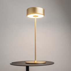 MAYTONI Lampa stołowa AI Collaboration 3W LED 120lm 2200-4000K 82 CRI Dimmable  MOD229TL-L3G3K2
