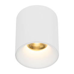 BLAZE WHITE CCT 12W 18157