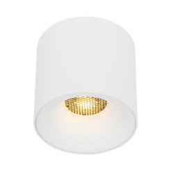 BLAZE WHITE CCT 30W 18161
