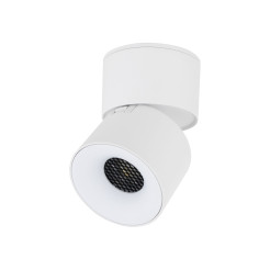 SPARK WHITE CCT 10W 18168