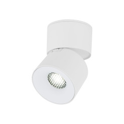 SPARK WHITE CCT 10W 18168