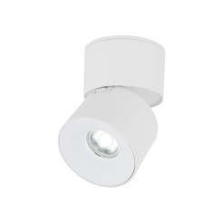 SPARK WHITE CCT 10W 18168