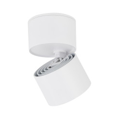 SPARK WHITE CCT 10W 18168