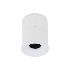 SPARK WHITE CCT 10W 18168