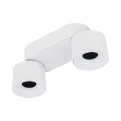 SPARK DUO WHITE CCT 20W 18171