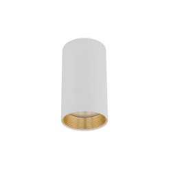 AMIS WHITE  DOWNLIGHT 10719