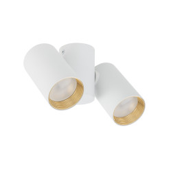 AMIS WHITE DOWNLIGHT 2XGU10 10975