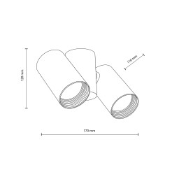 AMIS WHITE DOWNLIGHT 2XGU10 10975