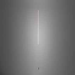 11607