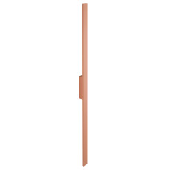 L 11561