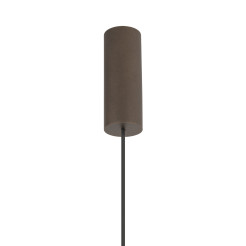 M 11659
