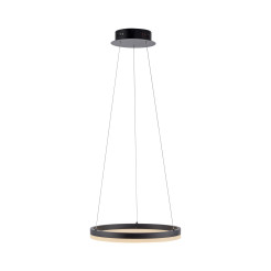 2381-13 TITUS LAMPA WISZĄCA ANTRACYT