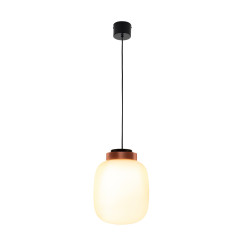 Lampa wisząca  LED biało miedziana 25 cm 9969P/A white