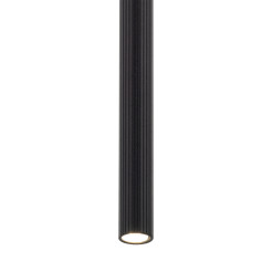 TRACER BLACK 1XG9 10819