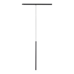 TRACER BLACK 1XG9 10818