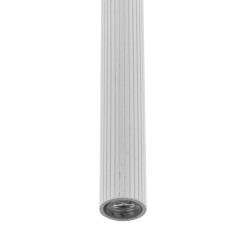 TRACER WHITE 1XG9 10820