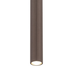 TRACER BROWN 1XG9 10816