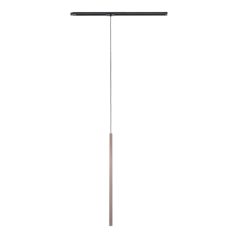TRACER BROWN 1XG9 10817