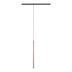 TRACER BROWN 1XG9 10817