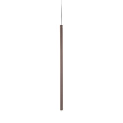 TRACER BROWN 1XG9 10817