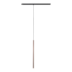 TRACER BROWN 1XG9 10817